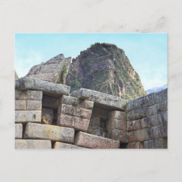Chinchilla in Machu Picchu, Peru Postkarte