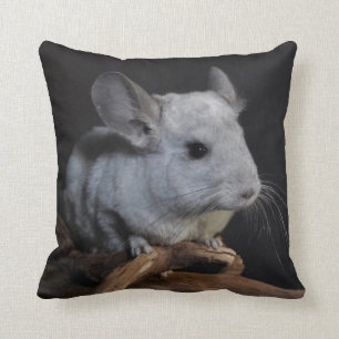 Chinchilla Kissen
