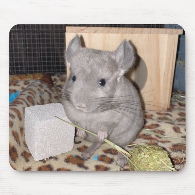 Chinchilla Mousepad (Vorne)