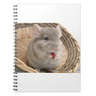 Chinchilla Notizblock
