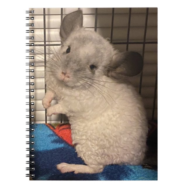 Chinchilla Notizblock (Vorderseite)