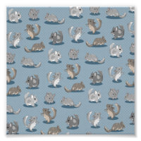 Chinchilla Pattern