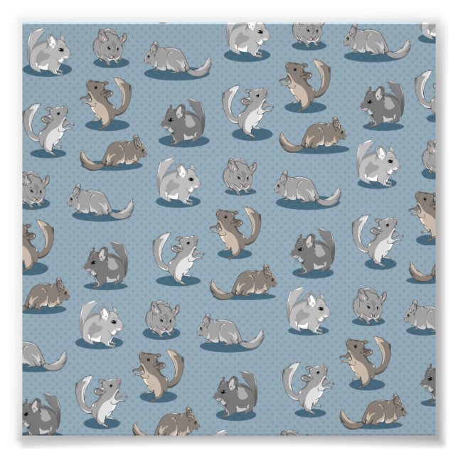Chinchilla Pattern Fotodruck (Vorne)
