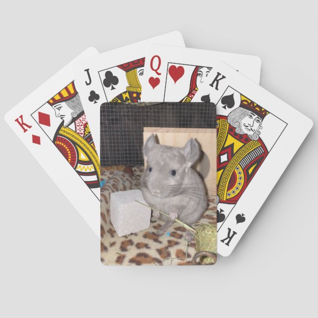 Chinchilla Spielkarten (Rückseite)