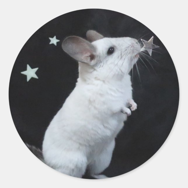 Chinchilla Star Runder Aufkleber (Vorderseite)