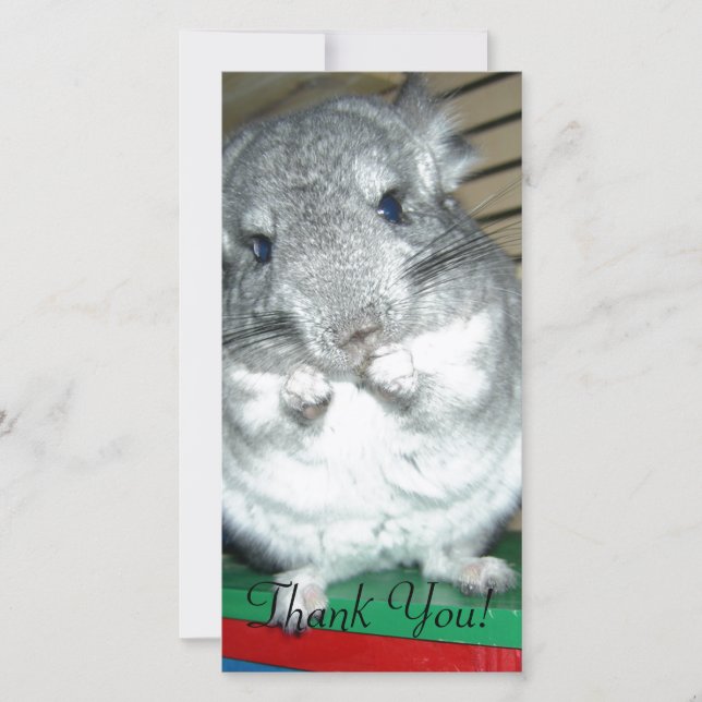 Chinchilla stehend auf Hinterbeinen Dankeskarte (Vorderseite)