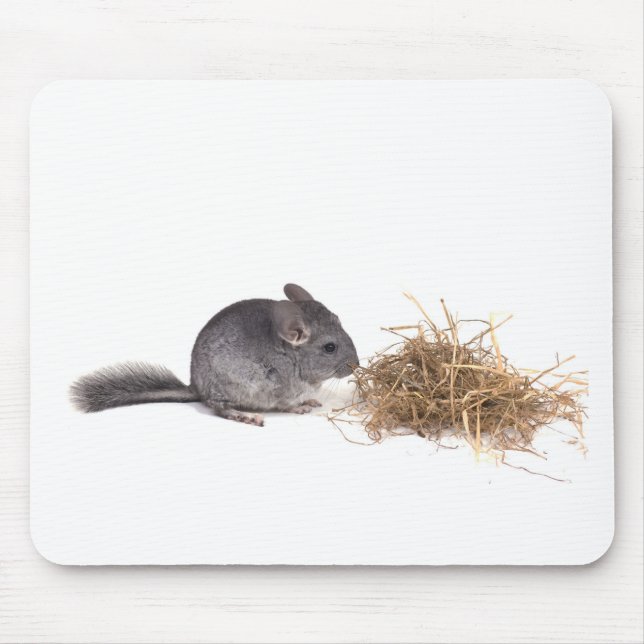 Chinchillas Mousepad (Vorne)