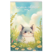 Chinchillin' das ganze Jahr 2025