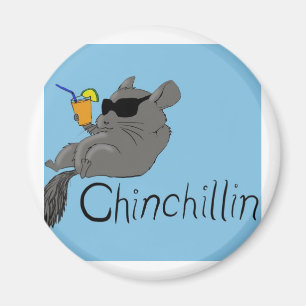 chinchillin magnet