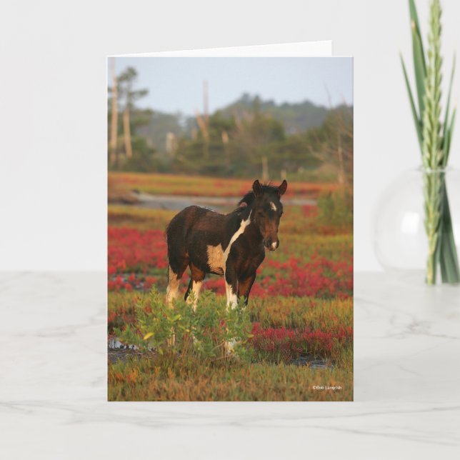 Chincoteague Foal Stehend in roten Blume Karte (Vorderseite)