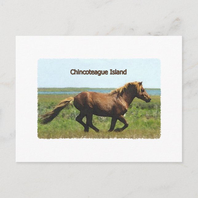 Chincoteague Island (Logo für Hengstschlag) Postkarte (Vorderseite)