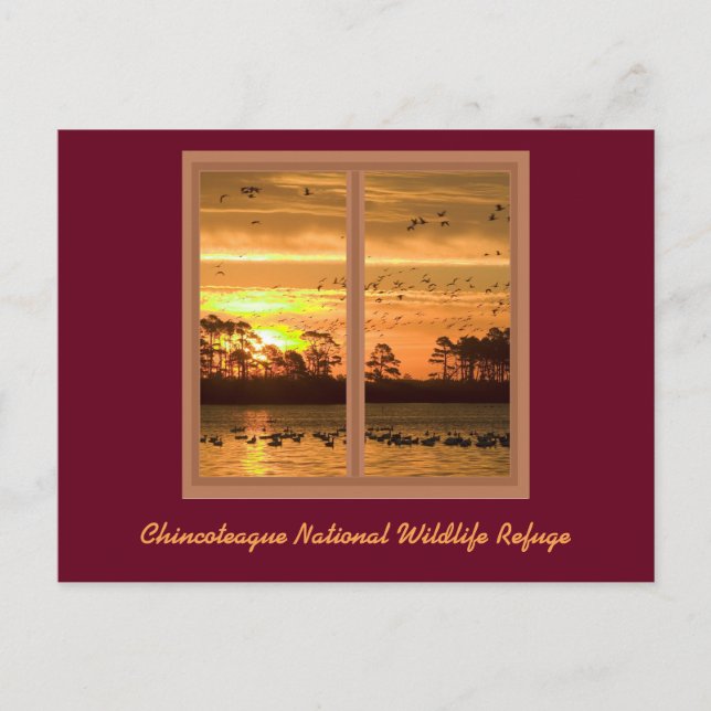 Chincoteague Island Sunset Post Card Postkarte (Vorderseite)