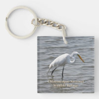 Chincoteague National Wildlife Great Heron Egret