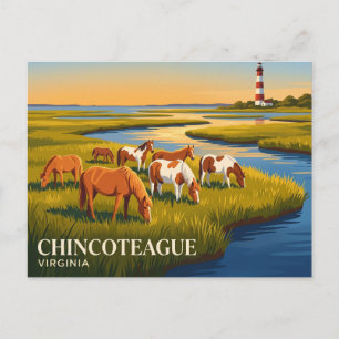 Chincoteague National Wildlife Refuge USA Postkarte