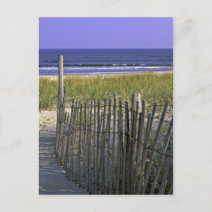 Chincoteague National Wildlife Refugium Postkarte