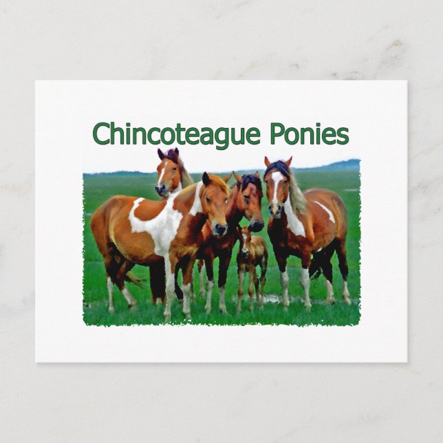 Chincoteague Ponies (Familie) Postkarte (Vorderseite)