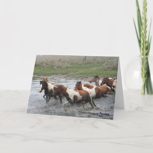 Chincoteague Ponies Greeting Card Karte (Vorderseite)