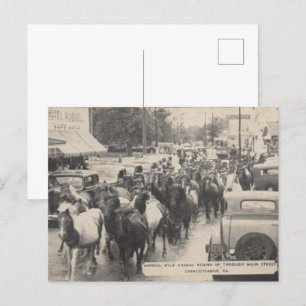 Chincoteague Pony Vintag 1941 Postcard Postkarte