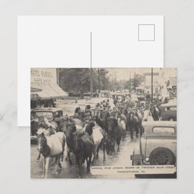 Chincoteague Pony Vintag 1941 Postcard Postkarte (Vorne/Hinten)