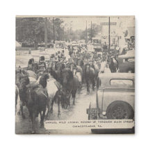 Chincoteague-Pony Vintage 1941 Postkarte