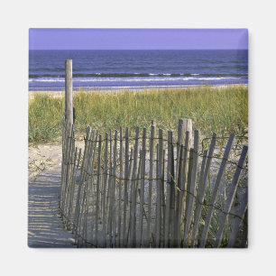 Chincoteague Staatsangehörig-Schutzgebiet Magnet