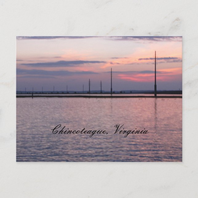 Chincoteague, Virginia Postkarte (Vorderseite)