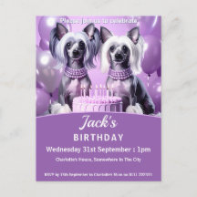 Chinese Crested Birthday Party