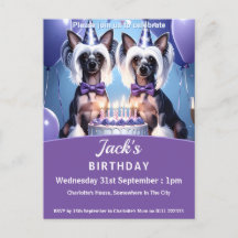 Chinese Crested Birthday Party