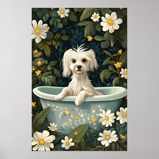 Chinese Crested Dog In Bathtub Poster, Funny Dog Poster (Vorne)
