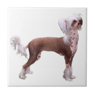 Chinese Crested Fliese
