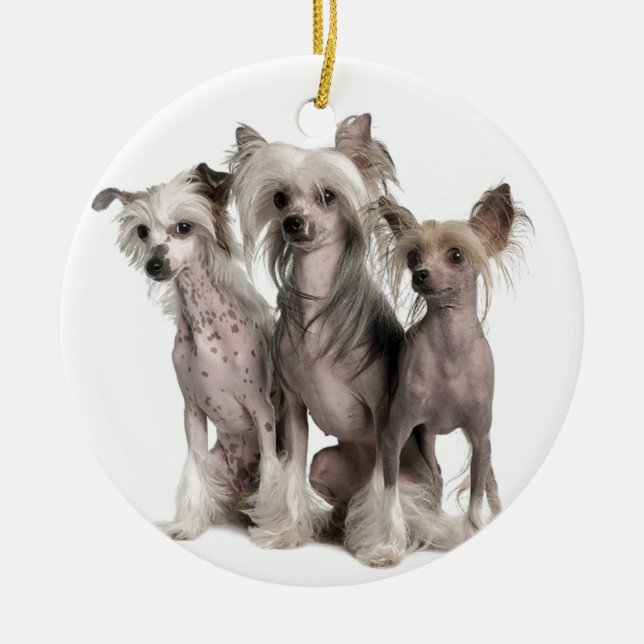 Chinese Crested Keramik Ornament (Vorne)