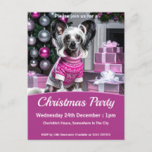 Chinese-Crested-Weihnachtsfeier