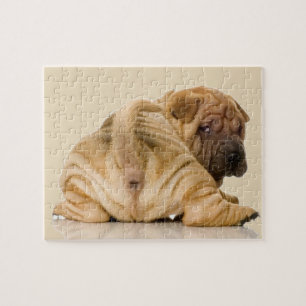 Chinese Shar-pei Hündchen Puzzle