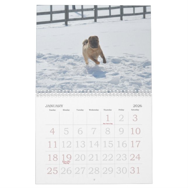 Chinese Shar-pei Kalender (Jan 2026)