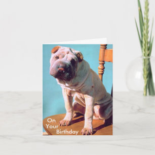 Chinese Shar-Pei Karte