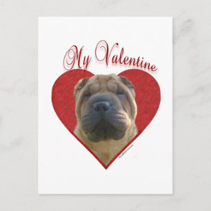 Chinese Shar Pei mein Valentinsgruß Feiertagspostkarte