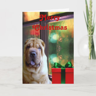 Chinese Shar-pei Weihnachtskarten Feiertagskarte