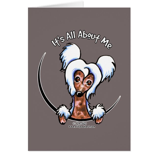 Chinesisch Created IAAM (Vorne)