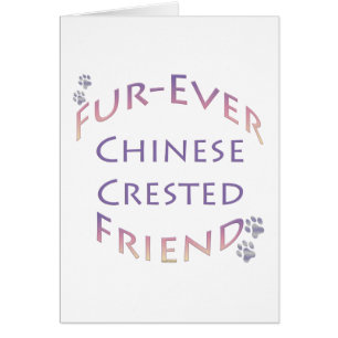 Chinesisch Crested Furever