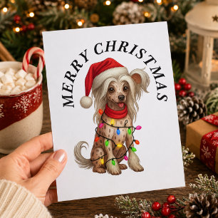 Chinesisch Crested Merry Christmas Santa-Hut Hund Feiertagspostkarte