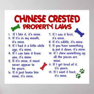 CHINESISCH CRESTED PL2 POSTER