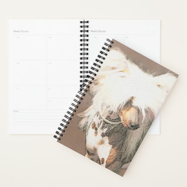 Chinesisch entworfene haarlose Malerei Original Hu Planer (Anzeige)