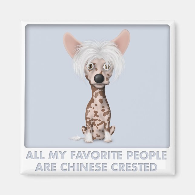 Chinesisch erfunden 1 Favorit Magnet (Vorne)