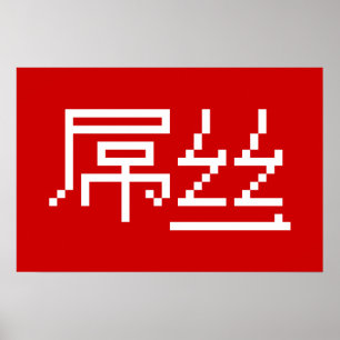Chinesisch Loser / Diaosi 屌 丝 Hanzi MEMO Poster