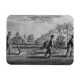 Chinesische Bauern, eine allgemeine Beschreibung a Magnet