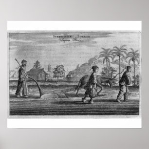 Chinesische Bauern, eine allgemeine Beschreibung a Poster