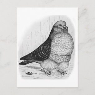 Chinesische Eukalyptöne Zeichnend Postkarte