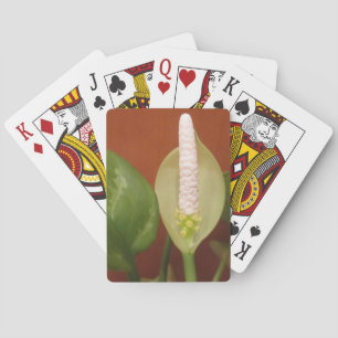 Chinesische Evergreen-Blume Spielkarten