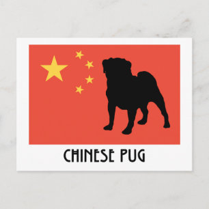 Chinesische Flagge mit Mops Postkarte