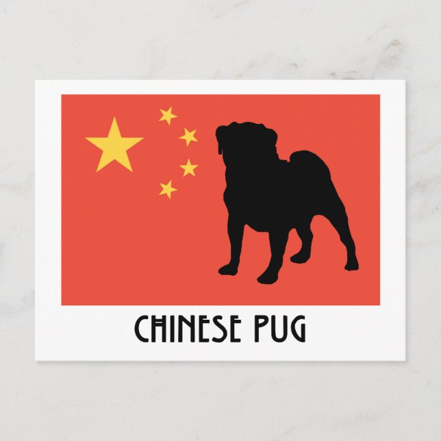 Chinesische Flagge mit Mops Postkarte (Vorderseite)